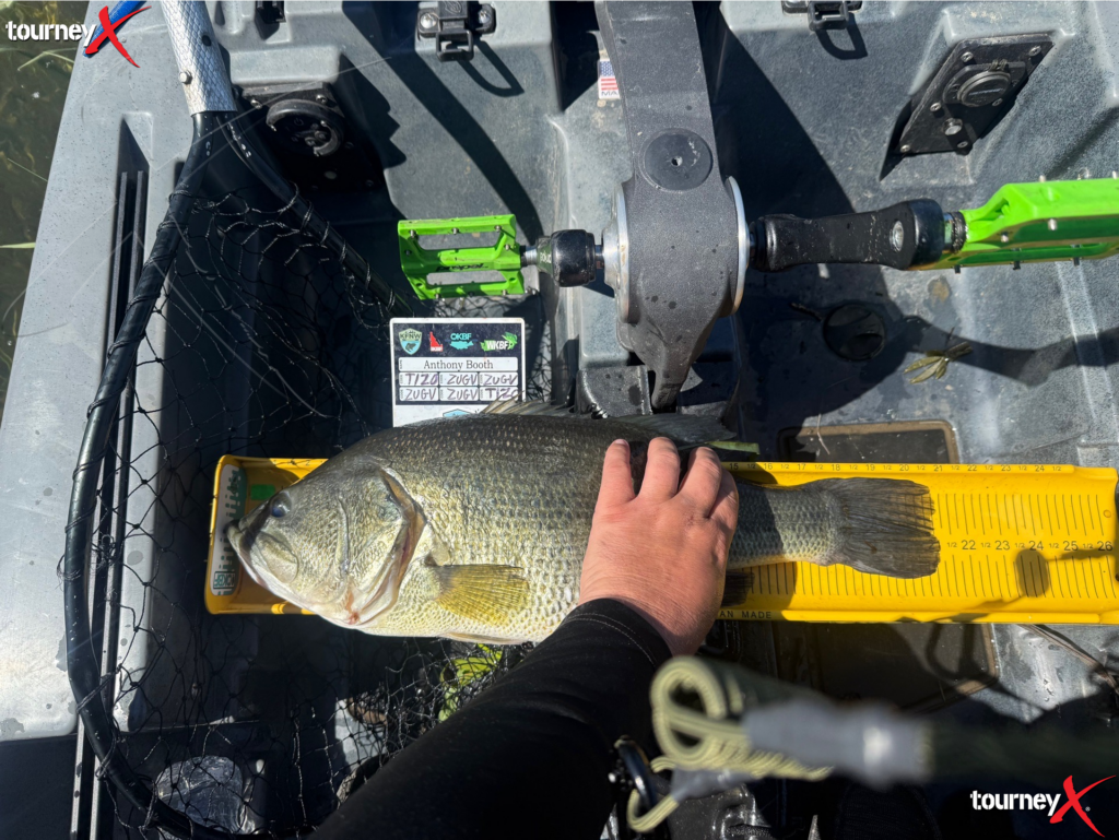 Anthony Booth - 21 inch largemouth