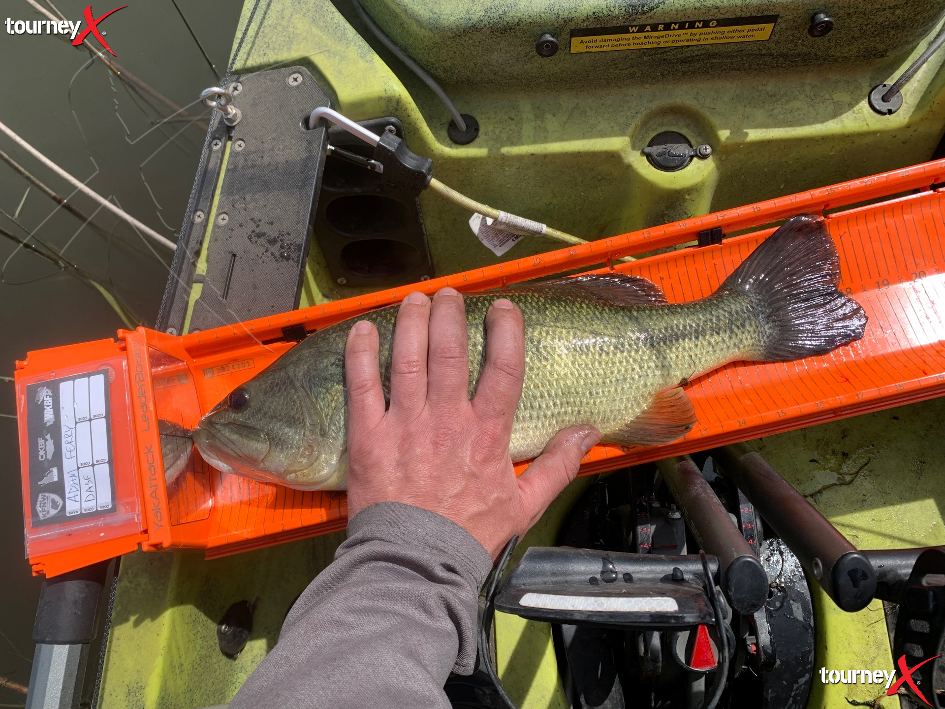 Adam Ferry - 18.25 inch largemouth