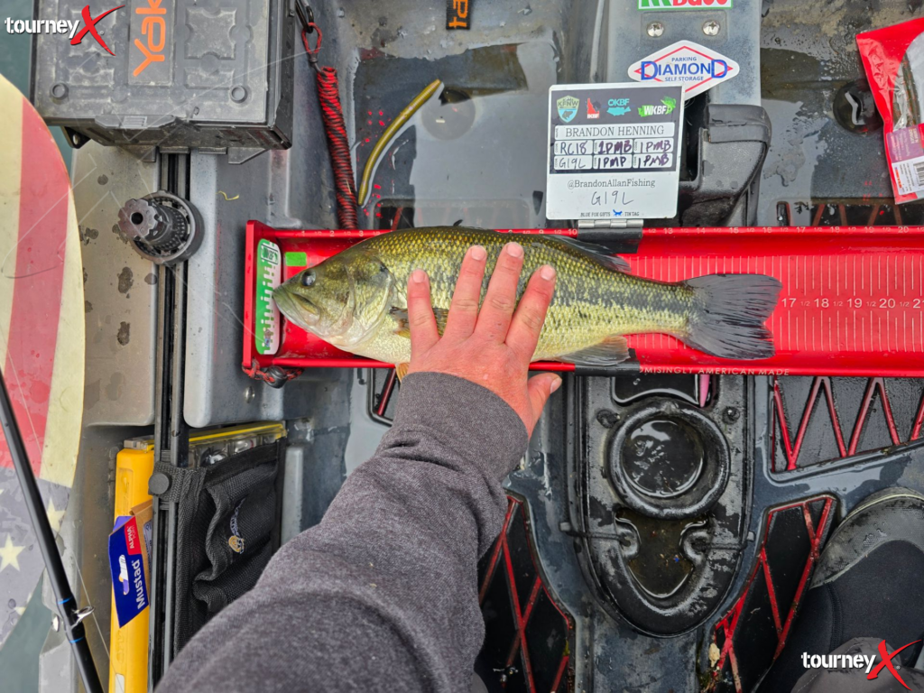 Brandon Henning - 16.75 inch largemouth