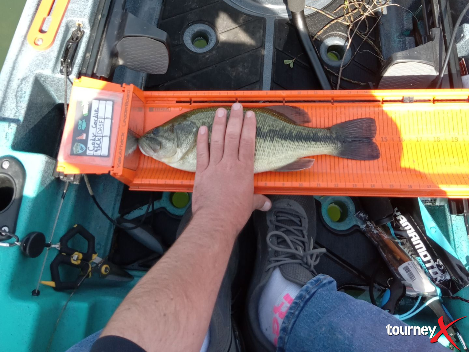 Cody Cordle - 14.5 inch largemouth