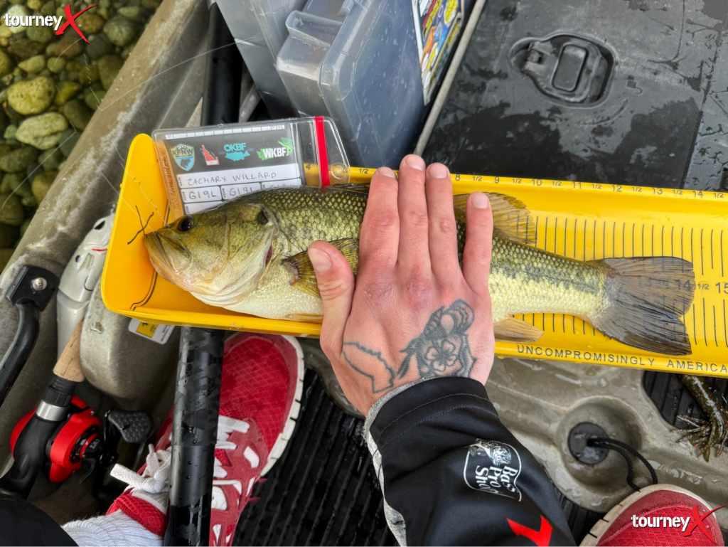 Zach Willard - 14.25 inch largemouth