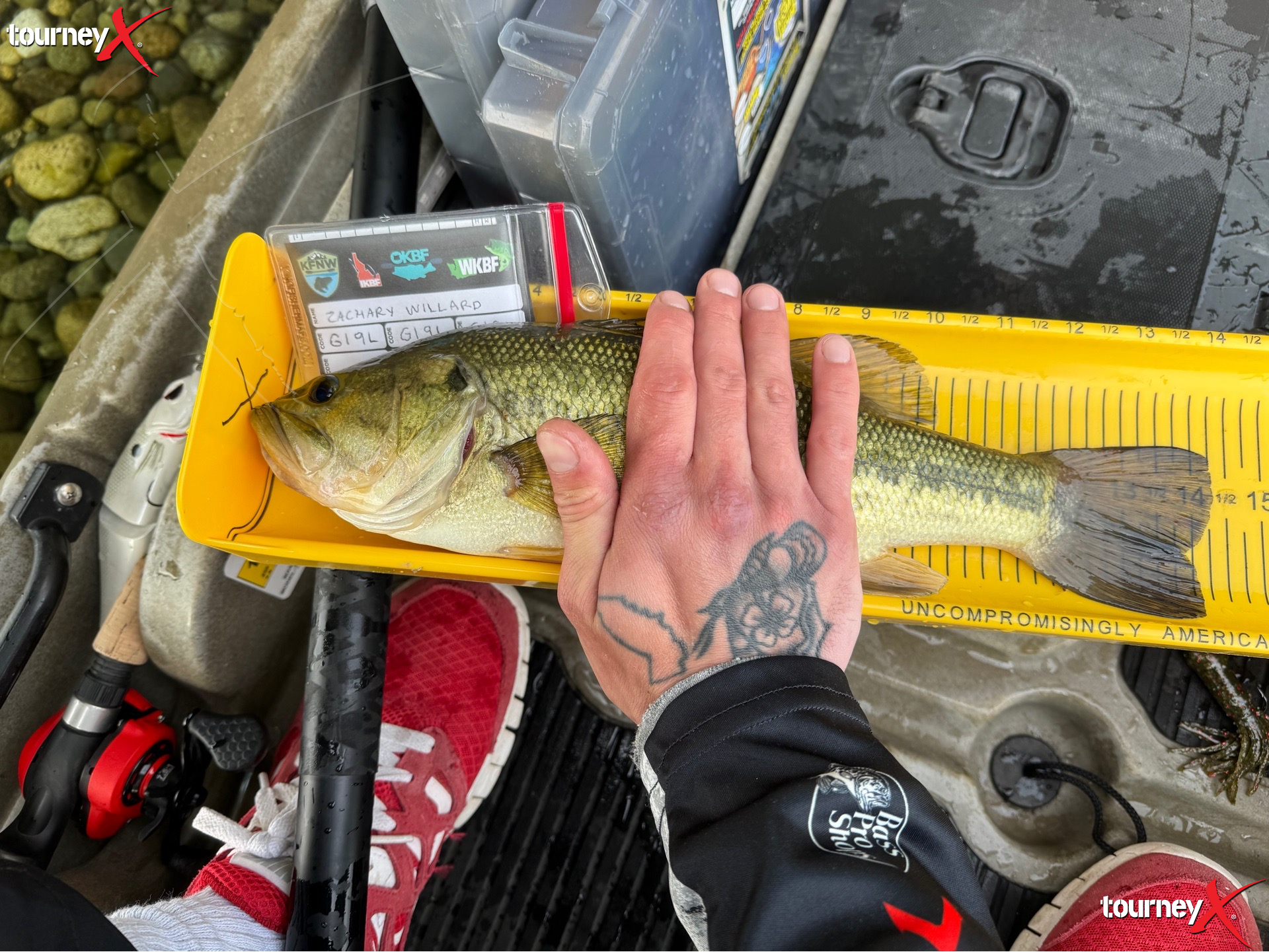 Zach Willard - 14.25 inch largemouth