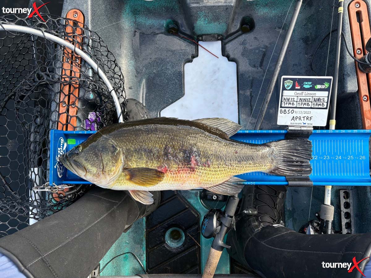 21.75 Geoffrey Linson