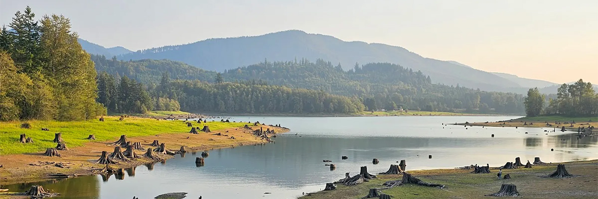 Alder Lake